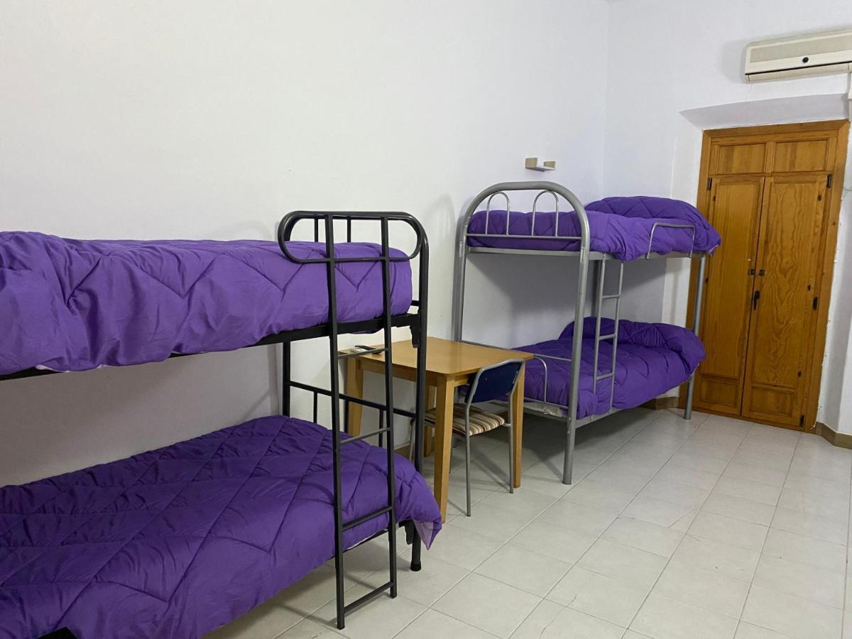 Bunk Bed Female Dormitory Room