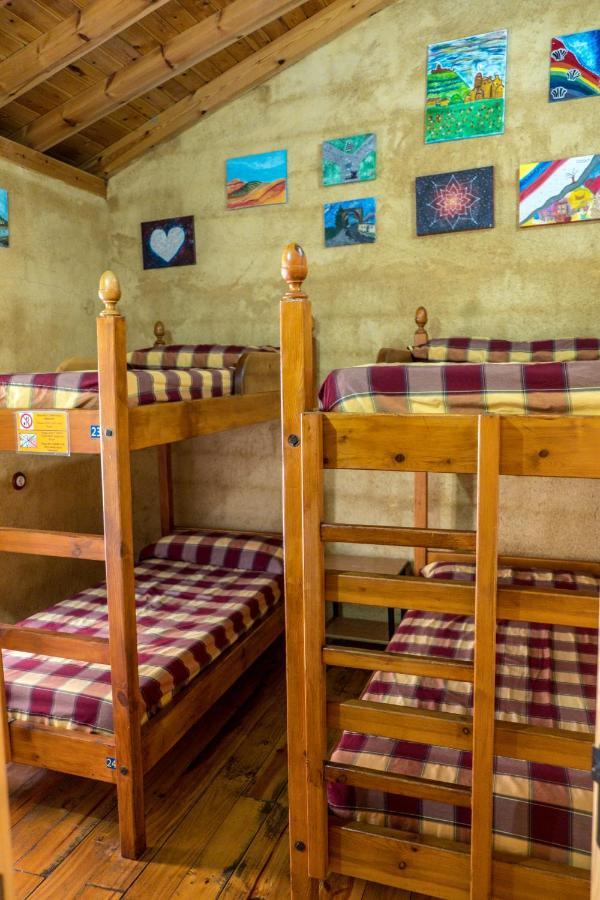 Bunk Bed Mixed Dormitory Room