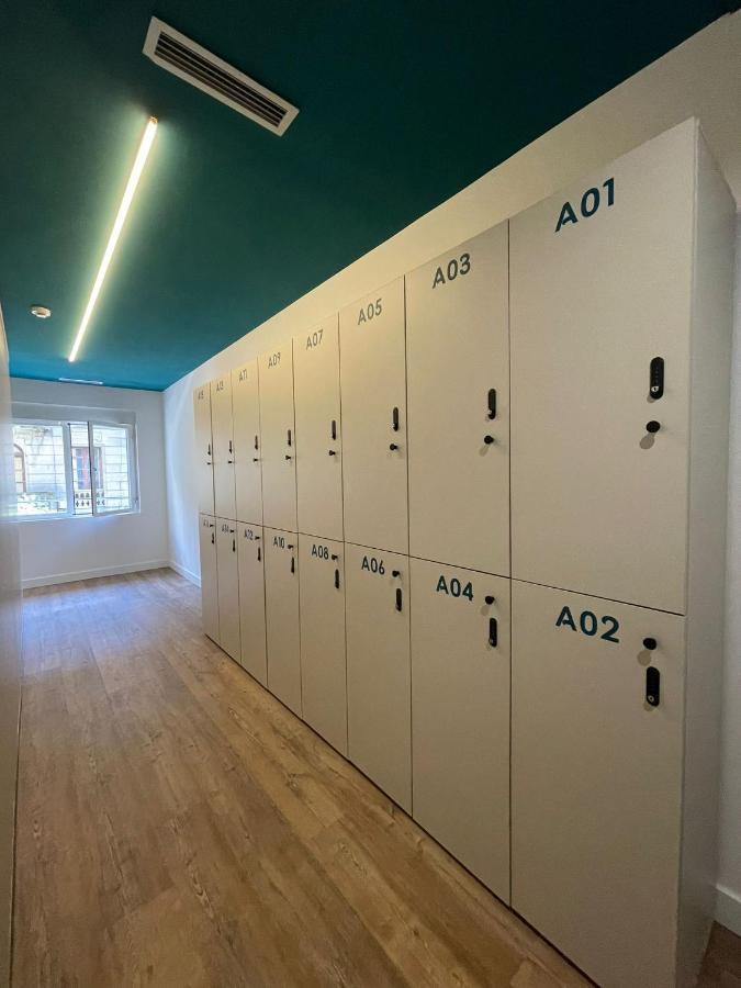 Bunk Bed Mixed Dormitory Room