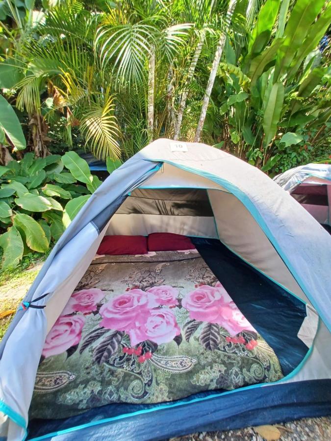 Tent,1611267965:JPEG