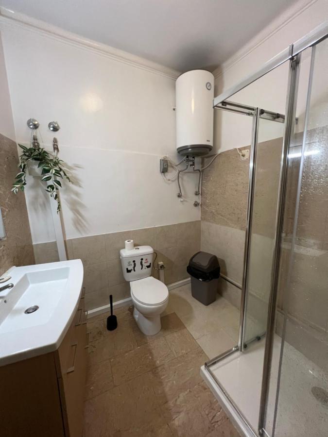 4-Bed Mixed Dormitory Room,1496871868:JPEG