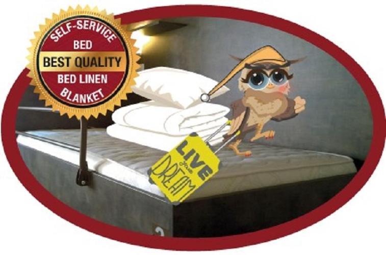 Single Bed Mixed Dormitory Room,1537062733:JPEG