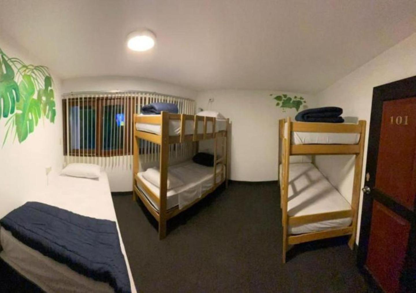 Habitación Compartida Mixta de 6 camas