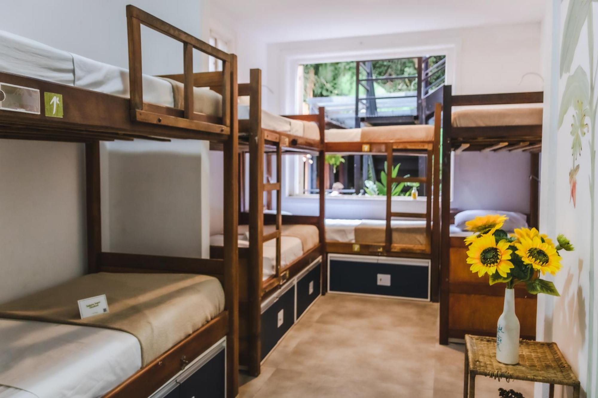 Single Bed Mixed Dormitory Room