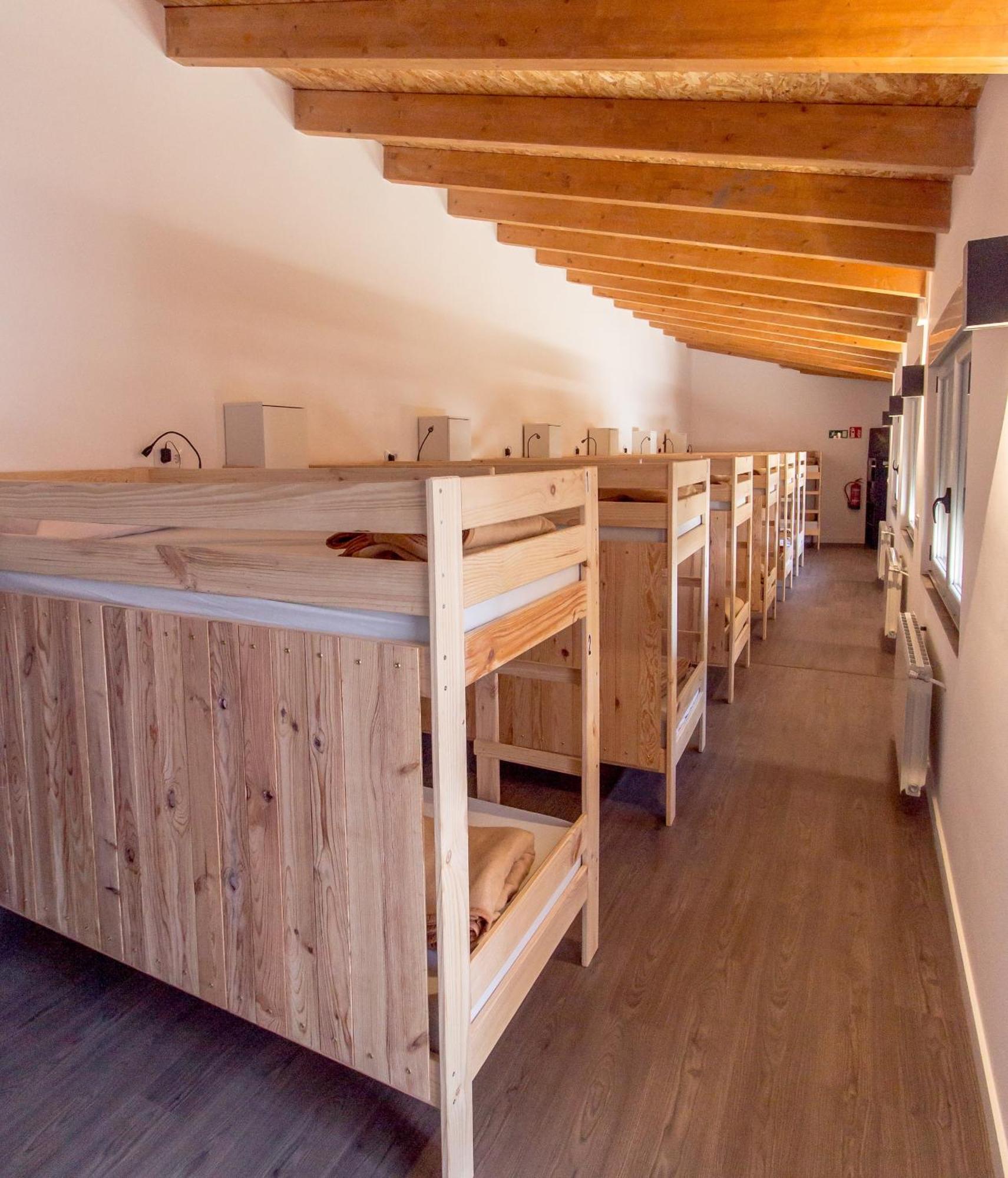 Bunk Bed Mixed Dormitory Room