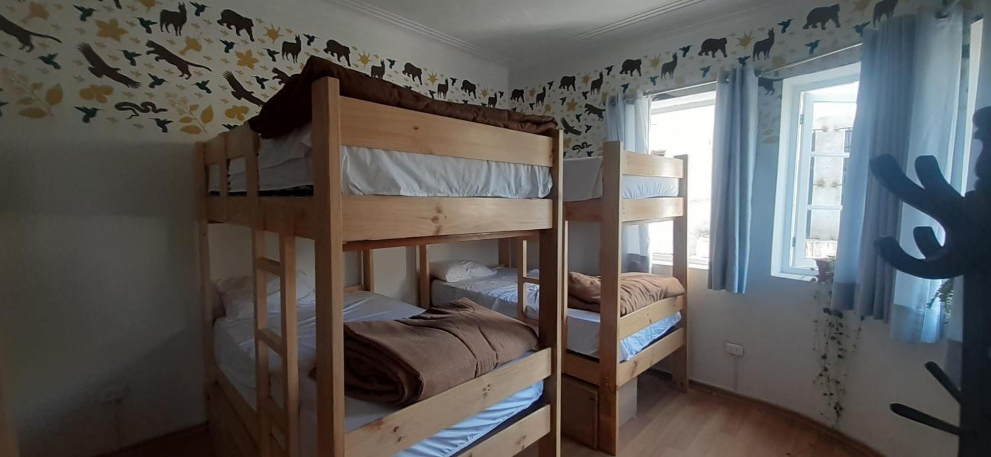 Habitación Compartida Mixta de 8 camas
