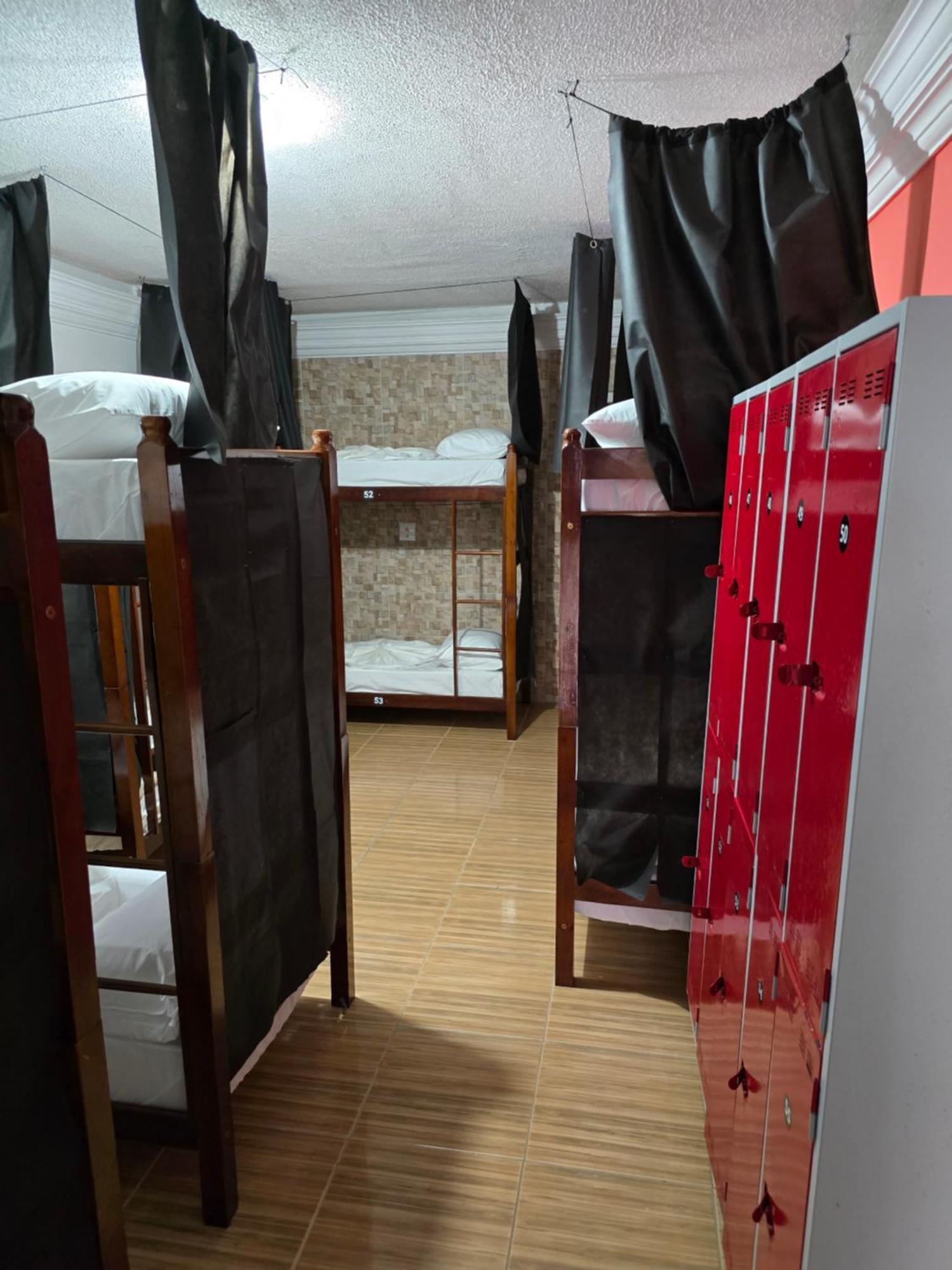Bunk Bed in Mixed Dormitory Room,1663728300:JPEG