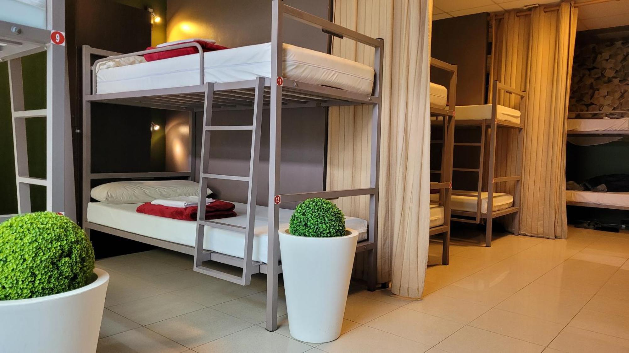 Bunk Bed Mixed Dormitory Room,1688864721:JPEG