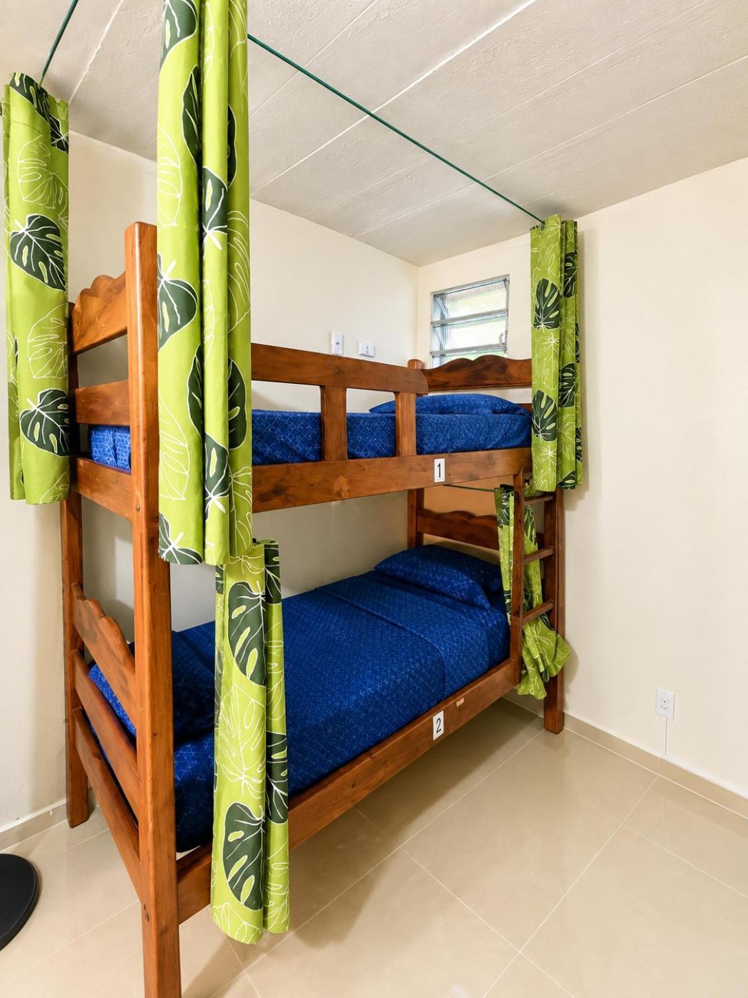 Bunk Bed Mixed Dormitory Room