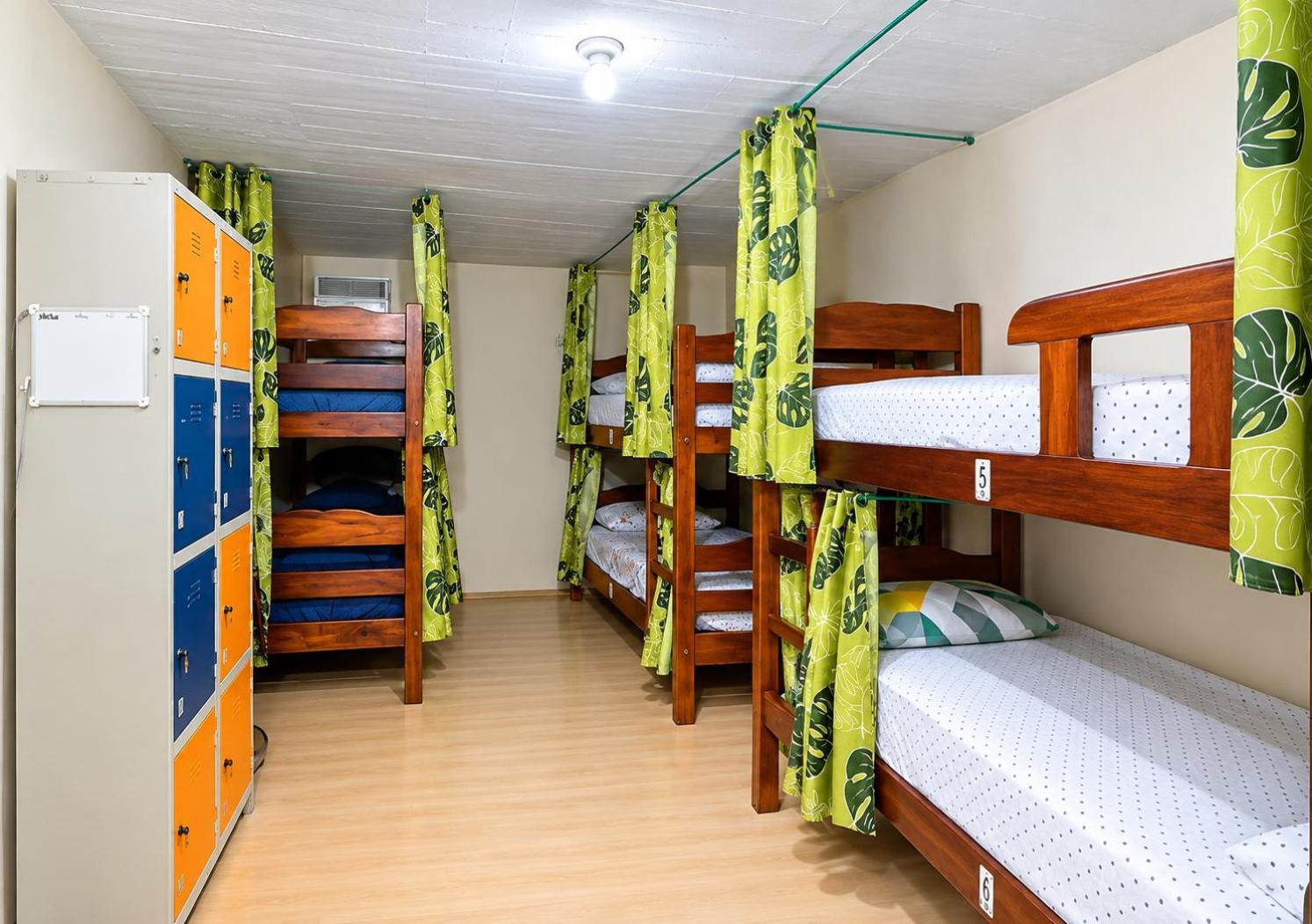 Bunk Bed Mixed Dormitory Room