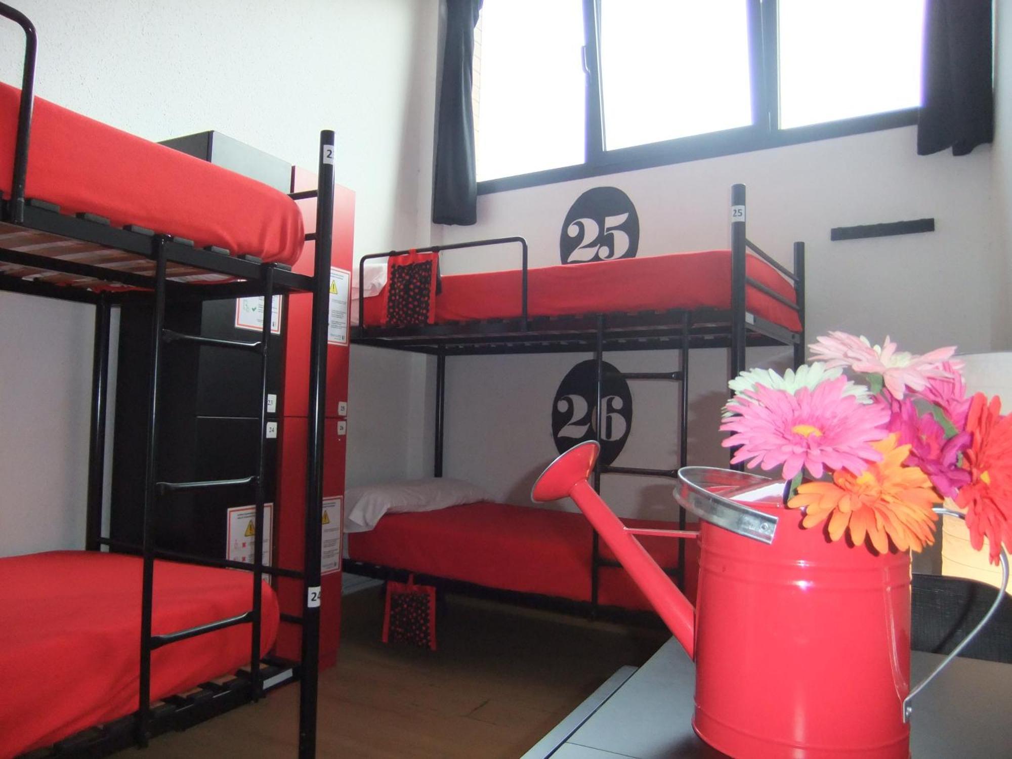 Single Bed 4-Bed Dormitory Room