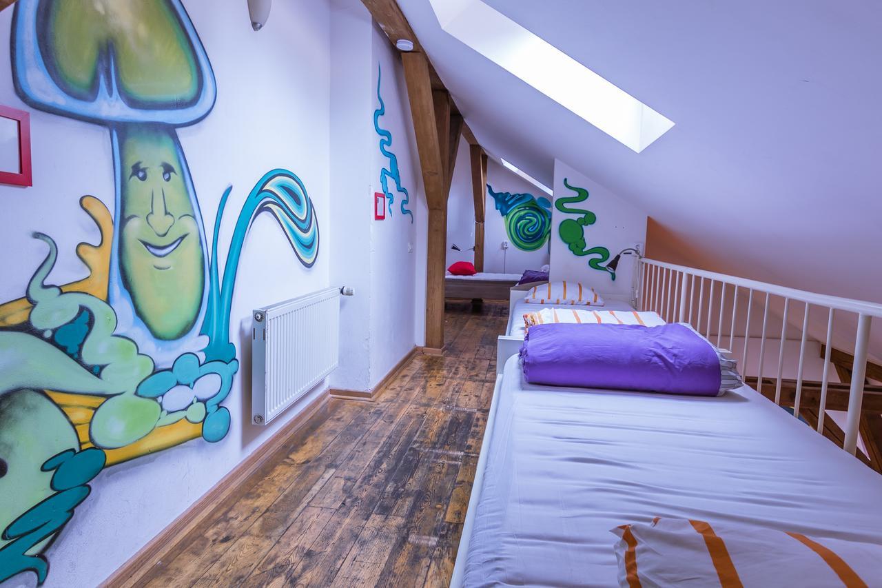 Cama en habitación compartida mixta de 8 camas