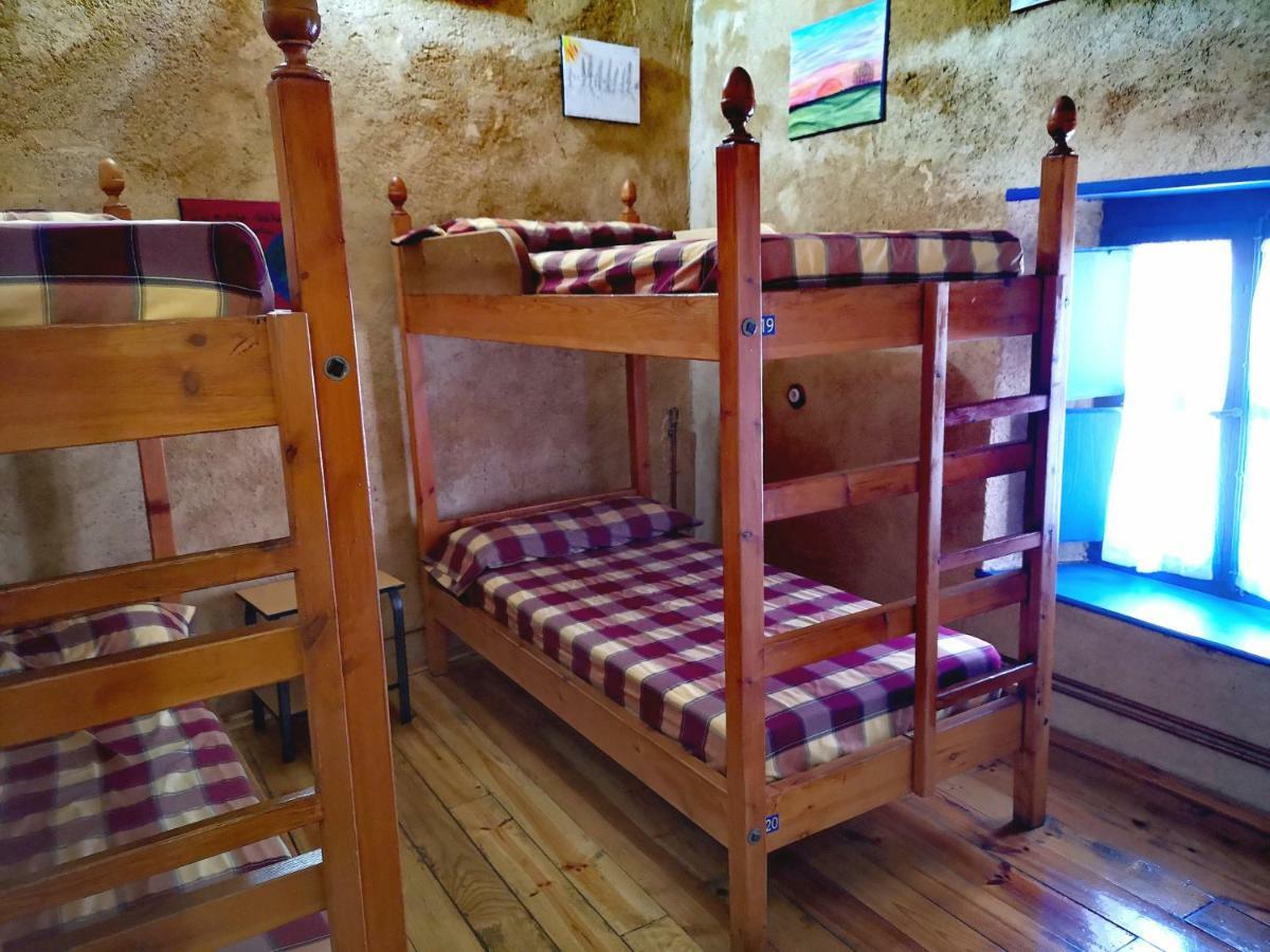 Bunk Bed Mixed Dormitory Room
