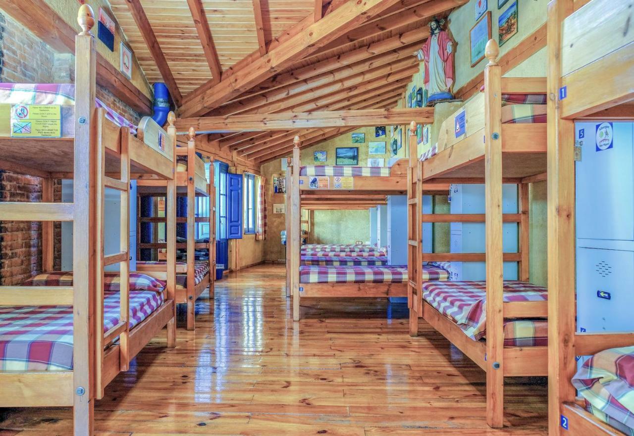 Bunk Bed Mixed Dormitory Room