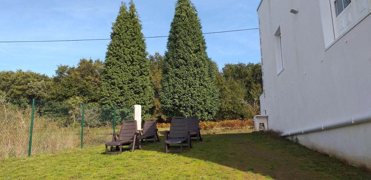 Bunk Bed in Mixed Dormitory Room,999202926:JPEG