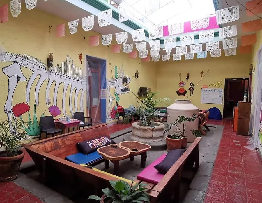Iguana Hostel Oaxaca-1