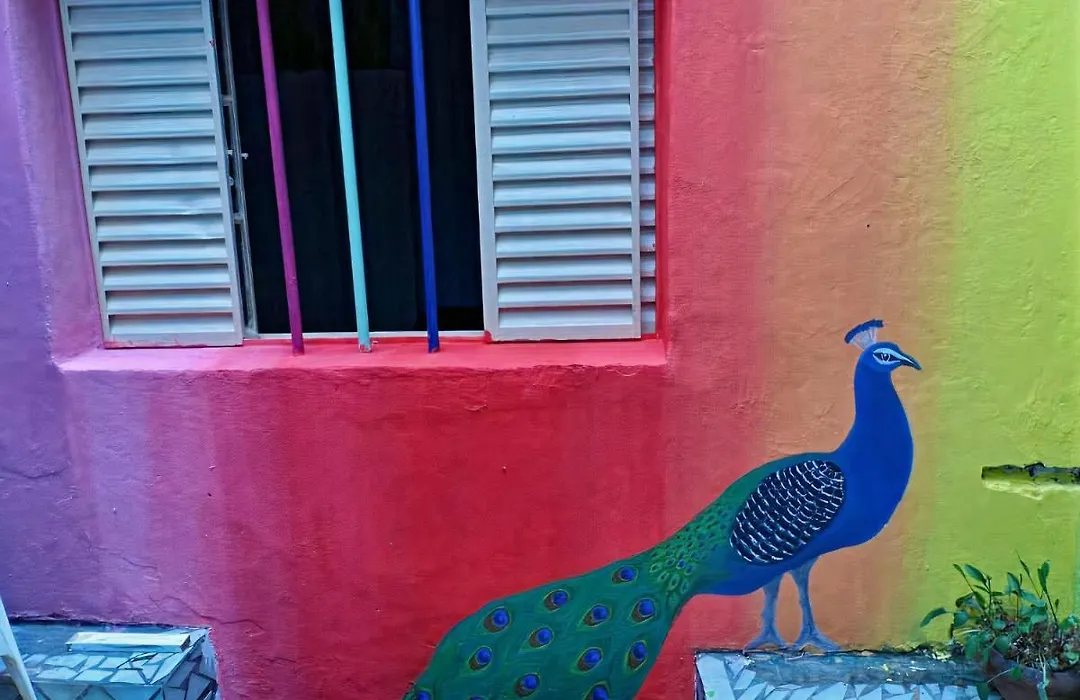 Sao Paulo Wanderlust G Hostel-1