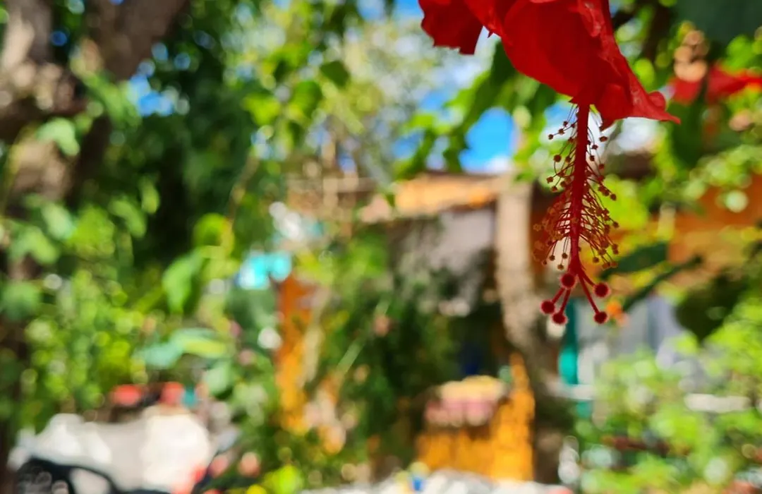 Hi Hostel Chapada-1