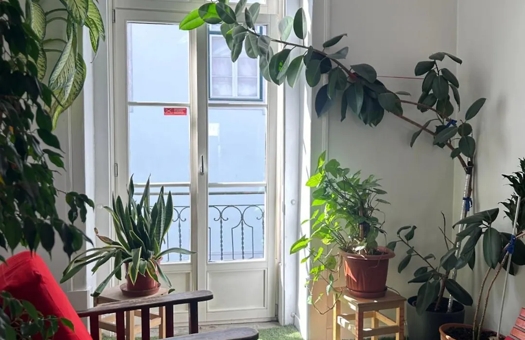 Living Lounge Hostel-1