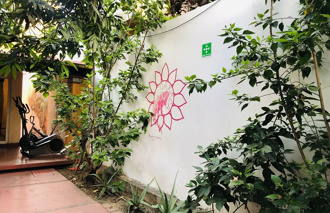 Los Nardos Hostel -pet friendly--1