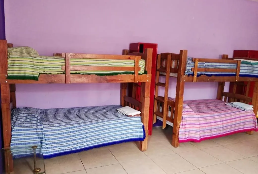 Olga Querida B&B Hostal-1