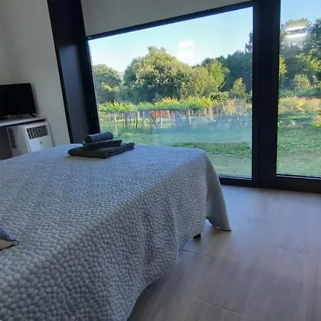 Guest House Clarevar (Pensión *)-3