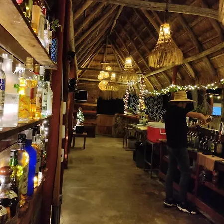 The All Inclusive Hostel - Food, Drinks And Transportation To The Beach And Cenotes-2