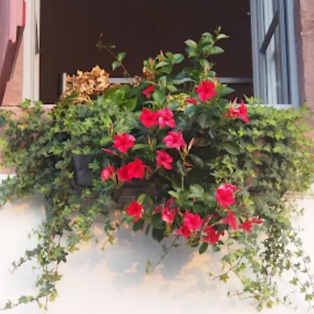 La Vita E Bella-3