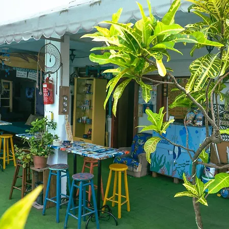 Oceanic Hostel-2