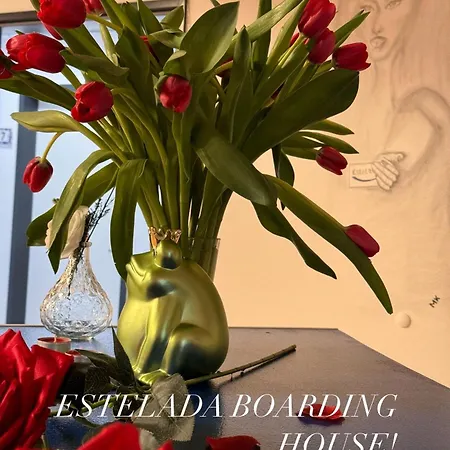 Estelada Boarding Houses City-2