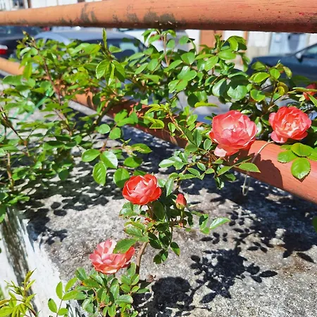 Villa Margarida-3