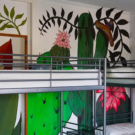 La Casa Verde-2
