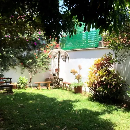 Los Nardos Hostel -pet friendly--3