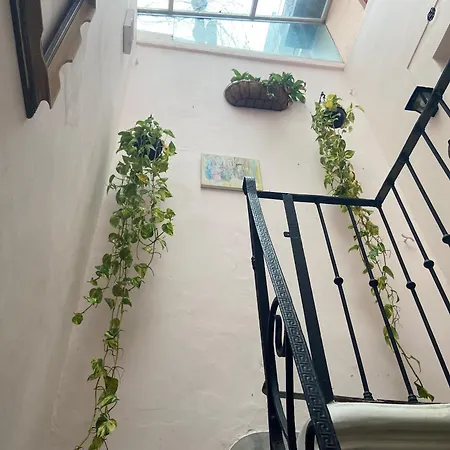 La Casona De Palermo Ex Hostel - Casa Entera Para 9 Personas-2