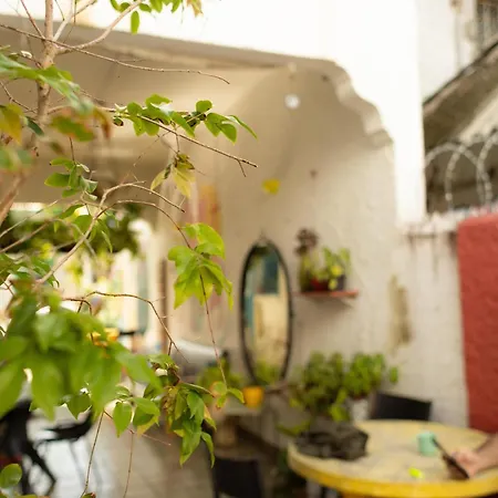 Zili Pernambuco - Hostel Pousada-2
