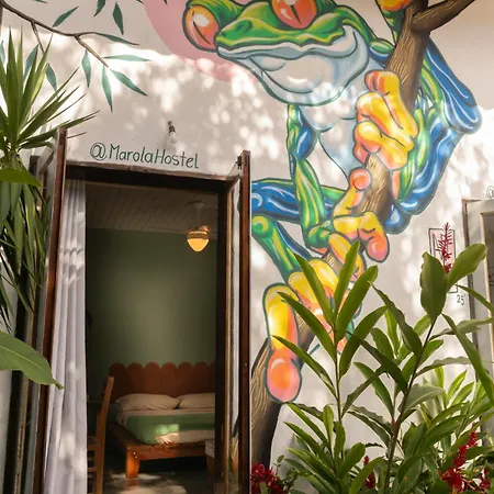 Marola Hostel-3