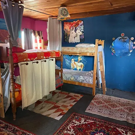 Casita del arbol Hostel-2