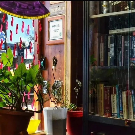 Patagonia Jazz Hostel-3