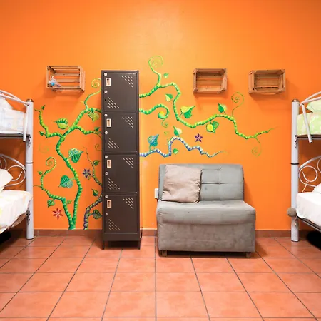 Azul Cielo Hostel-3