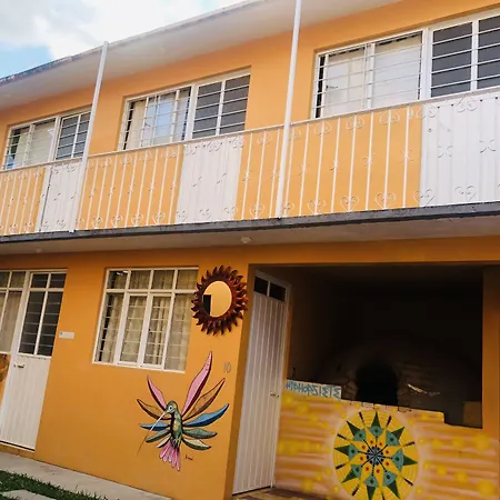 Los Nardos Hostel -pet friendly--2
