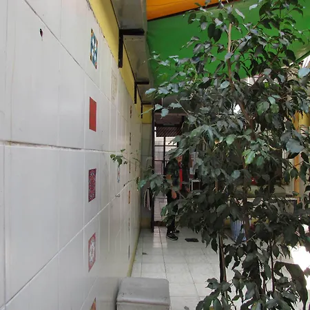 Hospedaje La Rana-3