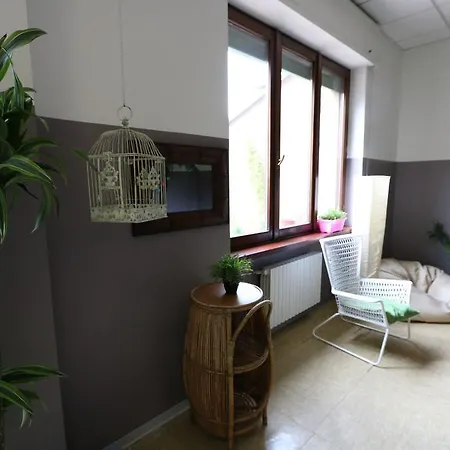 Panda Hostel-3
