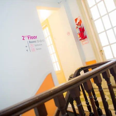 The Pink House-3