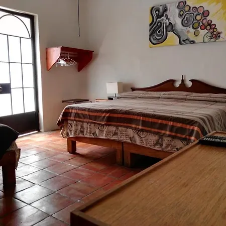 Olga Querida B&B Hostal-2