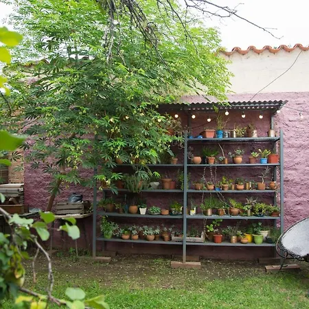 Feliza Hostel-3