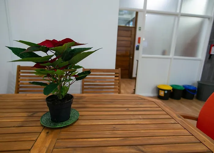 Change The World Hostels - Porto - Santa Catarina