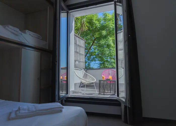 Cats Hostel San Sebastián