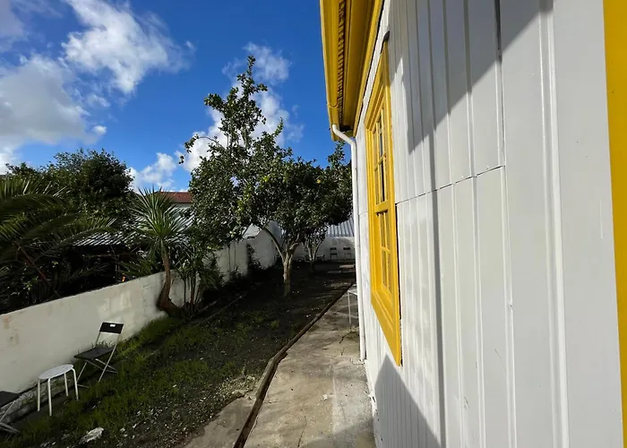 Owls Hostel Ildefonso OOporto