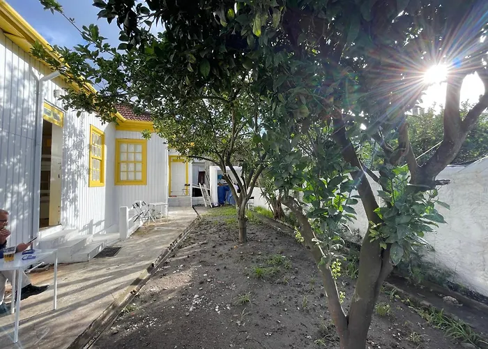 Owls Hostel Ildefonso OOporto