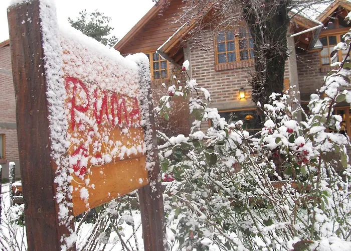 Puma Hostel San Martín de los Andes